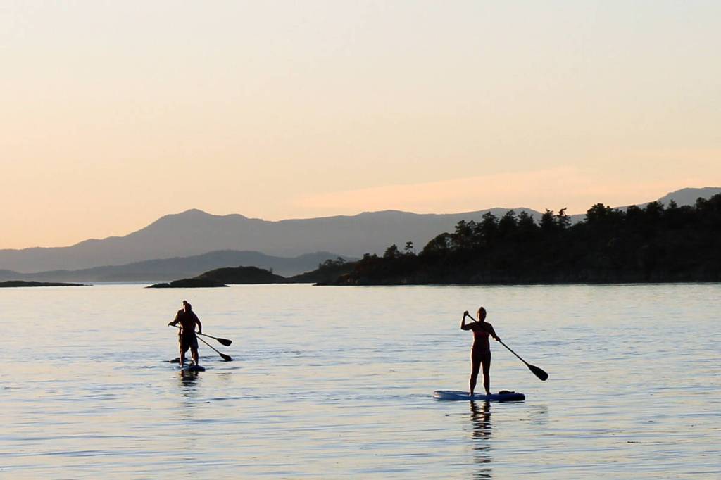 Virtual movie evening pairs two short films and Q&A panel