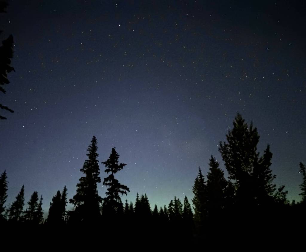 South Cariboo woman helps document 2025’s 1,052 Canadian UFO sightings - Comox Valley Record